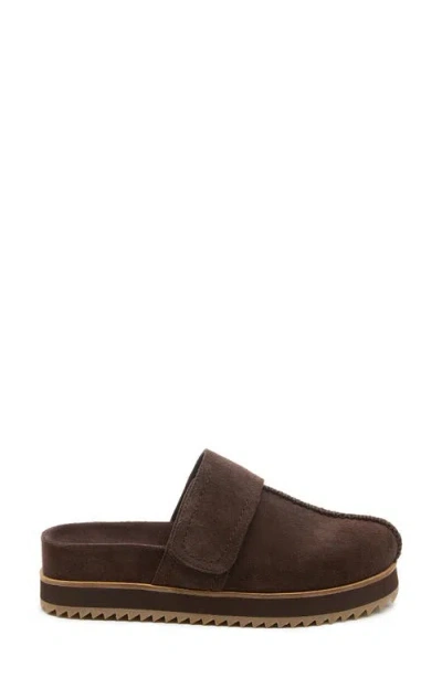 Kelsi Dagger Brooklyn Fig Platform Mules In Brown
