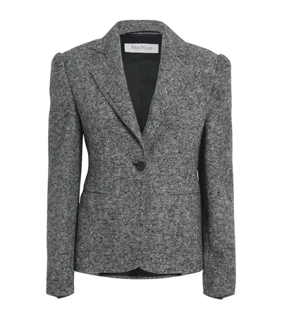 Max Mara Salmone Virgin Wool Blend Blazer In Multi