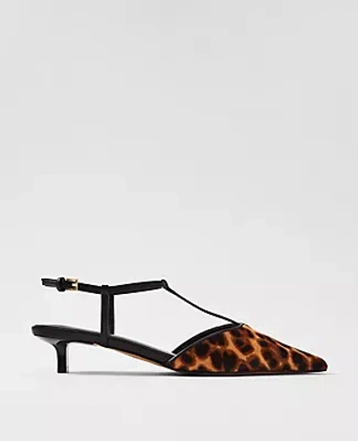 Ann Taylor Haircalf T-strap Kitten Heel Pumps In Multi