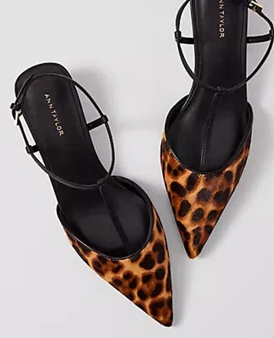 Ann Taylor Haircalf T-strap Kitten Heel Pumps In Multi