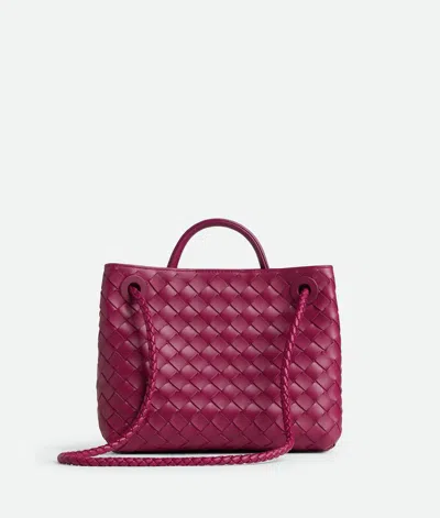 Bottega Veneta Women Andiamo Small Bag Cyclamen-coloured Bag In Red