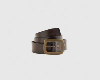 Levi's Jordan Belt In Brown