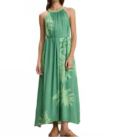 Velvet By Graham & Spencer Odessa Palmetto Print Dress In Green In Green