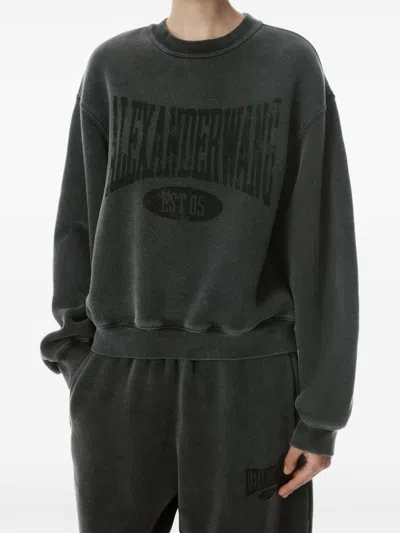 Alexander Wang Graphic Sweatshirt In Black