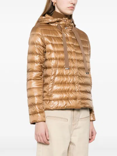 Herno Padded Goose Down Ultralight Jacket In Multi