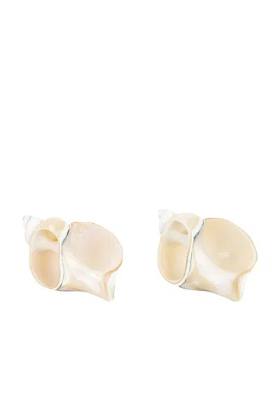 Gohar World Shell Set Of 2 Napkin Rings In Neutral