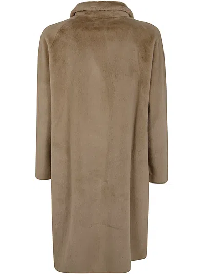 Betta Corradi 2 Bottons Coat In Brown