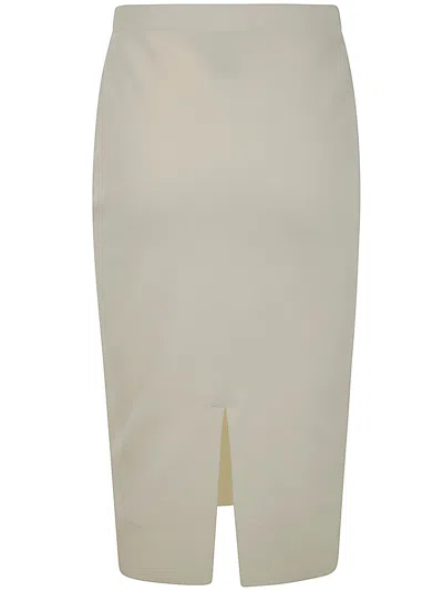 D Exterior D. Exterior Merinos Skirt In Gray
