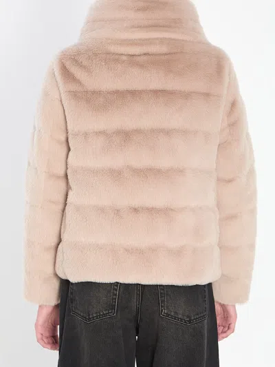 Herno Chantilly Polyester Clothing Jackets In Pink