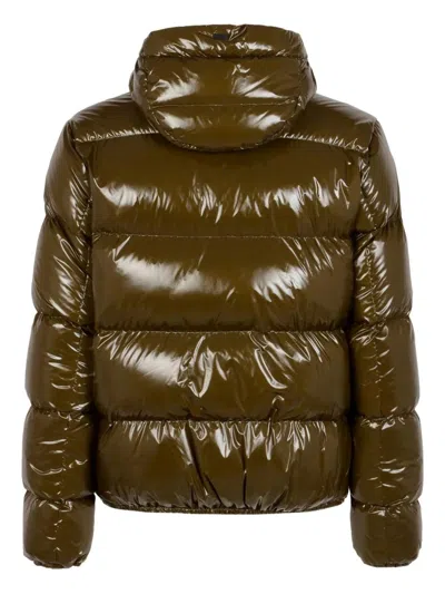 Herno Quilted Jacket With Hood In Green