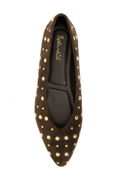 Splendid Latouche Stud Flat In Brown