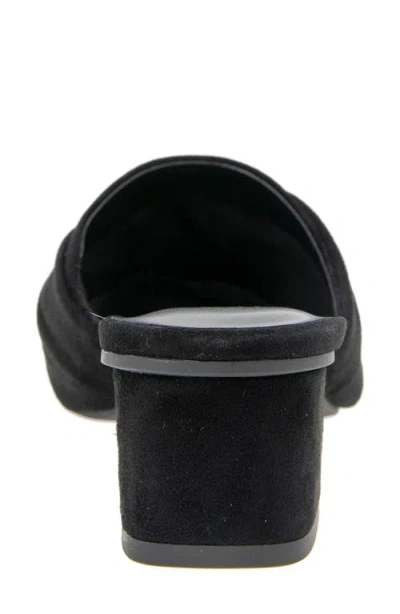 Splendid Lanis Block Heel Mule In Black