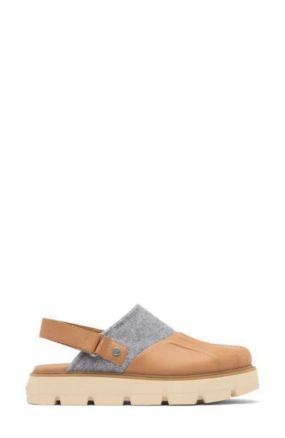 Sorel Women's Rein Cb Slingbacks Clogs In Brown