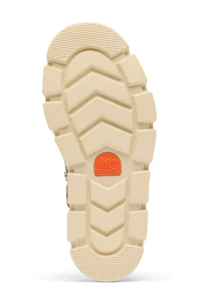 Sorel Women's Rein Cb Slingbacks Clogs In Brown