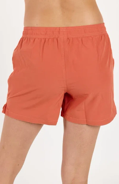 Calypsa 4" Board Shorts In Brown