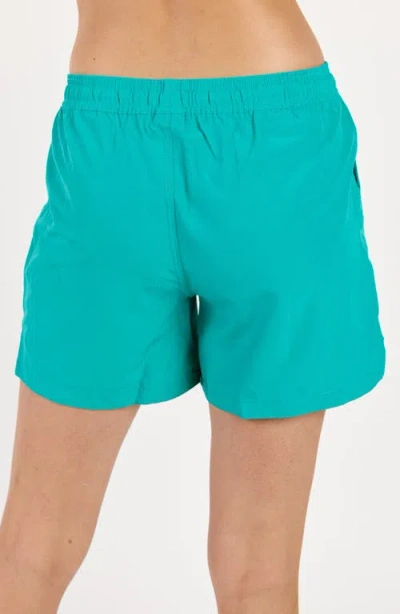 Calypsa Plus Size 4" Board Shorts