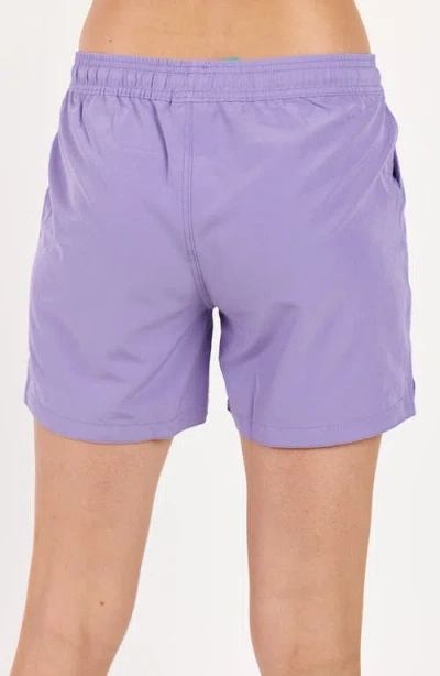 Calypsa Women's 4" Board Shorts In Purple
