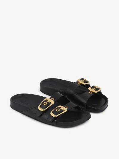 Chloé "polly" Slides In Black