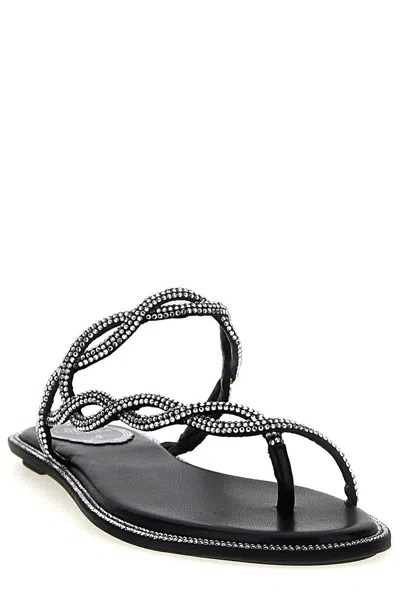 René Caovilla Rene Caovilla Black Flat Braid Sandal 10