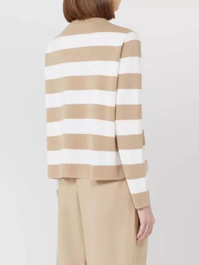 Max Mara Wool Sweater With Embroidered Stripes And Crew Neck In Multi