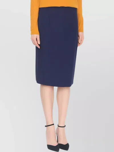 Alberta Ferretti Alberta Ferreti Blue Acetate Skirt In Blue