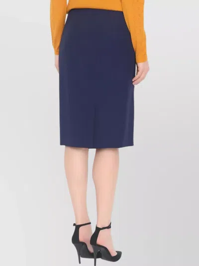 Alberta Ferretti Alberta Ferreti Blue Acetate Skirt In Blue