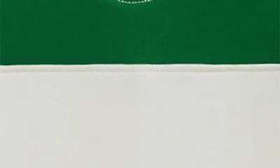 Polo Ralph Lauren Colorblocked Cotton-blend Jersey Hoodie In White