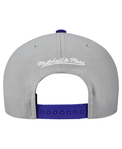 Mitchell & Ness Men's And Women'sâ Gray Tampa Bay Rays Basic Coop Pro Adjustable Hat In Multi