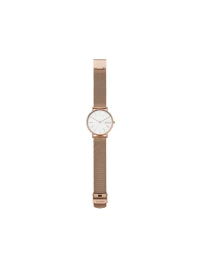 Skagen Signatur 38mm In Brown