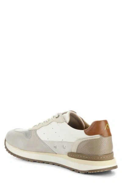 Ambitious 13939 Low Top Sneaker In Multi