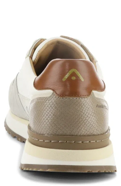 Ambitious 13939 Low Top Sneaker In Multi