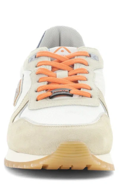 Ambitious 14003 Low Top Sneaker In Multi
