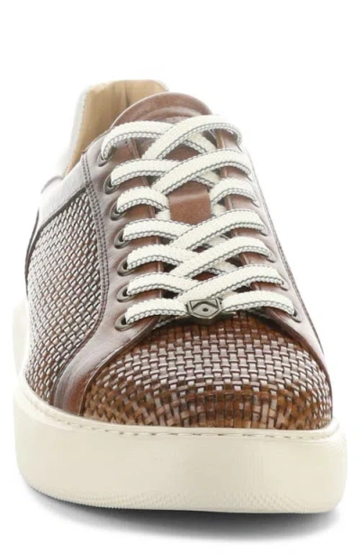 Ambitious 13450a Woven Low Top Sneaker In Brown