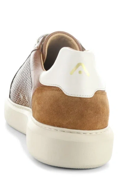 Ambitious 13450a Woven Low Top Sneaker In Brown