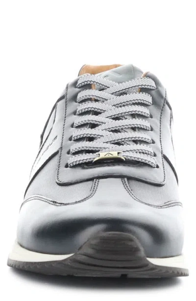 Ambitious 11721 Low Top Sneaker In Black