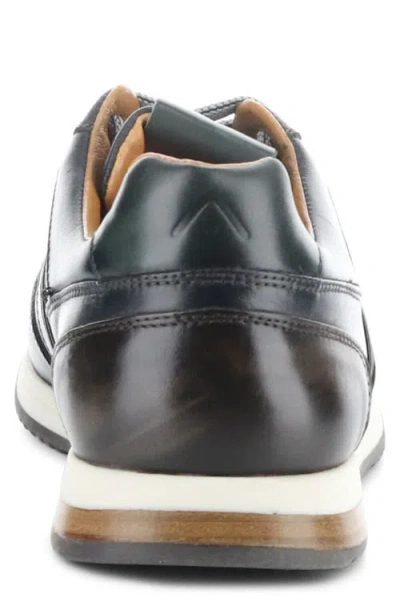 Ambitious 11721 Low Top Sneaker In Black