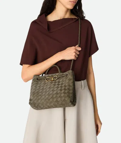 Bottega Veneta Andiamo Intrecciato Small Suede Tote Bag In Pinecone