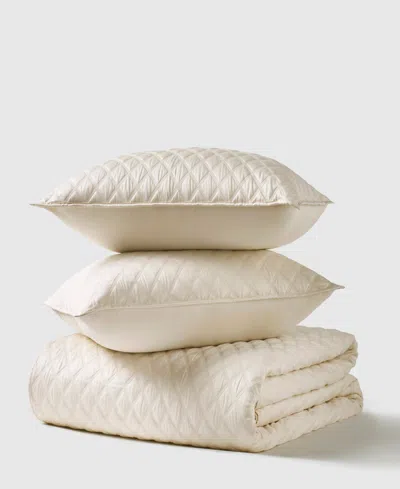 J Queen New York Premier Cotton Sateen 3-pc. Quilt Set, Full/queen In Brown