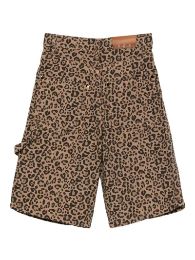 Msgm Leopard-print Shorts In Brown