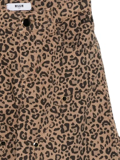 Msgm Leopard-print Shorts In Brown