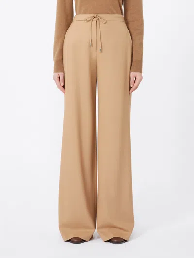 Max Mara Drawstring Trousers In Wool Twill In Brown