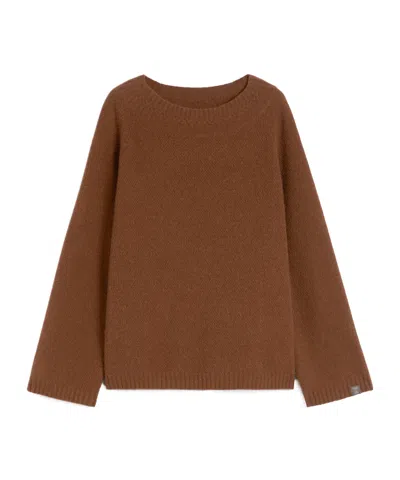 Max Mara Satrapo Round-neck Pullover In Brown