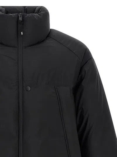 Y-3 Padded Jacket In Black