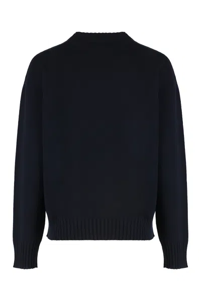 Fabiana Filippi Crew Neck Knitwear Long Sleeves In Blue