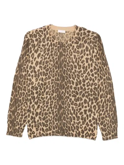 Liu •jo Liu Jo Animal-print Crew-neck Cardigan In Brown