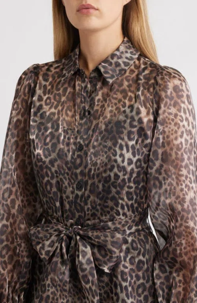 Julia Jordan Women's Belted Long-sleeve Shirtdress In Brown