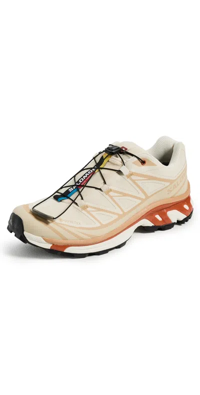 Salomon Xt-6 Gtx Panelled Mesh Sneakers In Neutral