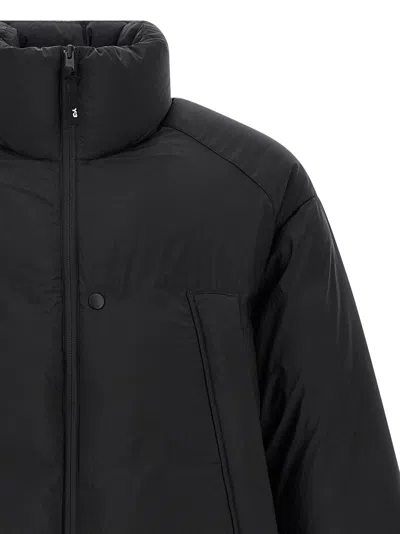 Y-3 Padded Jacket In Black