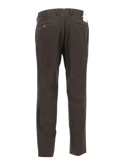 Pt Torino Belt Loop Casual Pants In Brown