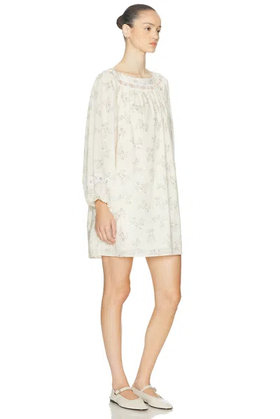 Posse Floral Elodie Mini Dress In Blue